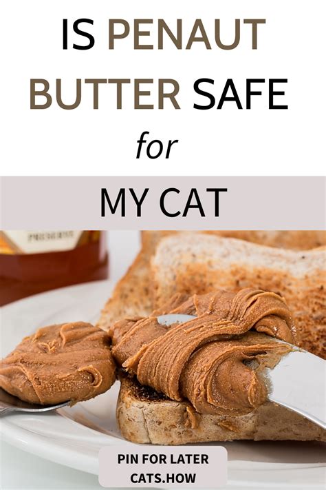 Since it contains a lot of fat, which could contribute to obesity, as well as some carbohydrates, which can lead to diabetes, if fed regularly it could have a. Can Cats Eat Peanut Butter in 2020 | Best cat food, Cat ...