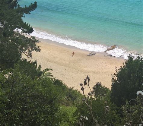 Clothing Optional Beach On Waiheke Island Warm Water And Perfect In Every Way Another Day In
