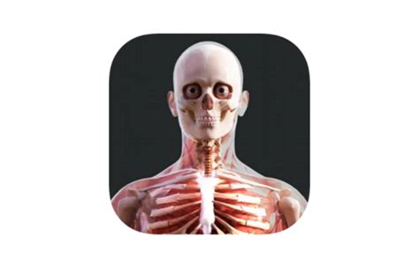 Dq Solutions Human Anatomy 4d