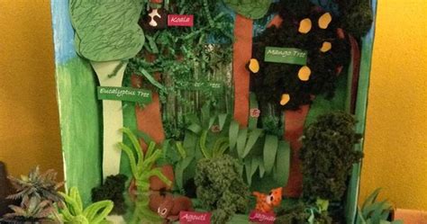 Image Result For Creating Trees For A Rainforest Biome Box Fairground