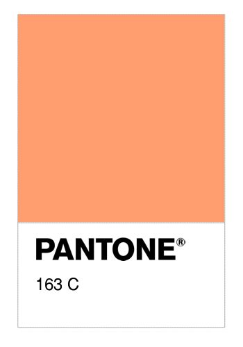 Colore Pantone® 163 C Numerosamenteit