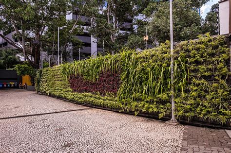 Grupo Vg Implanta Jardins Verticais Na Estação Sustentável Vila Olímpia Da Cptm
