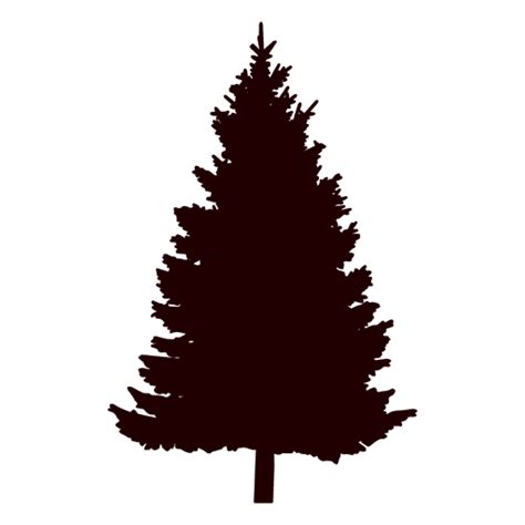 Pine tree silhouette pine tree - Transparent PNG & SVG vector file