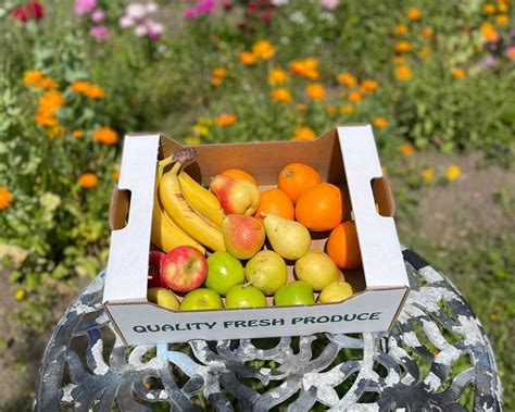 Fruit Boxes Organic Food Box Trinity Farm
