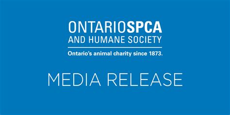 Ontario Spca Re Homing Initiative Helps 32 Northern Cats Find Homes Ontario Spca And Humane