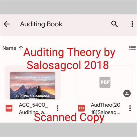 Auditing Theory By Salosagcol Pdf Book Hobbies Toys Books