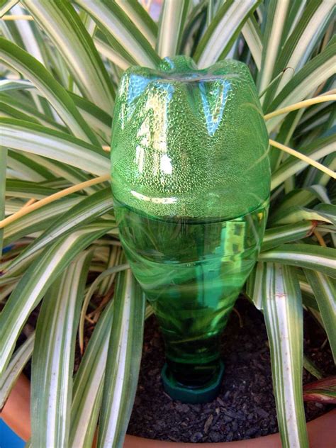 Filling in the drainagestep 3: How Do Watering Spikes, Cones and Bottle Top Water Systems ...