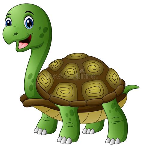 Cute Turtle Cartoon Isolated On White Background Stock Vector
