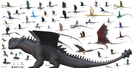 A Size Chart Of All Dragons Found In School Of Dragons Oc Rhttyd