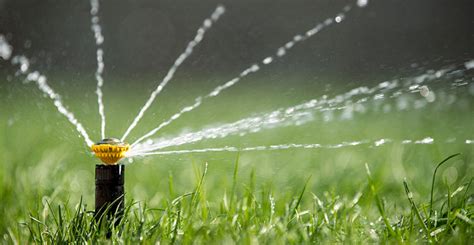 How Often Should You Water The Lawn Greenlawn Sod