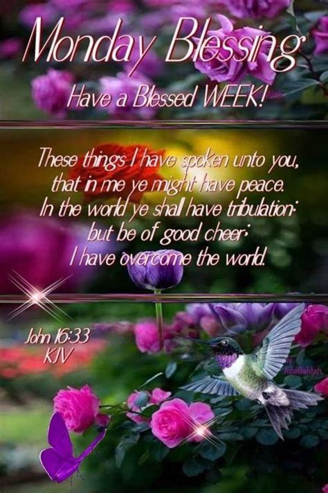 10 Positive Monday Blessings To A Great Day Monday Blessings Happy