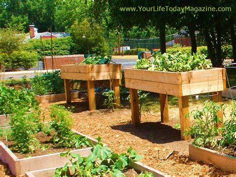 By growing in a raised bed, you can have a productive, abundant vegetable garden — even in just a few square feet. Elevated Garden Bed Plans - BED PLANS DIY & BLUEPRINTS