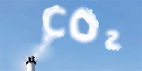คาร์บอนไดออกไซด์ Carbon Dioxide Tuemaster เรียนออนไลน์ มปลาย