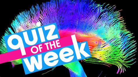 Cbbc Newsround Try Newsrounds Quiz Of The Week