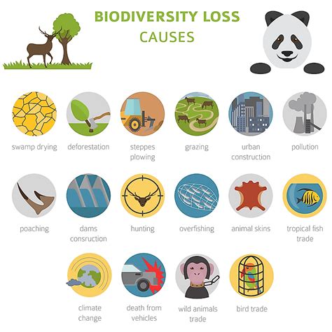 Biodiversity Loss Causes Effects Amp Facts Britannica Riset