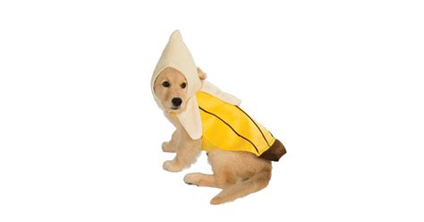 Banana Dog Costume Best Costumes For Dogs Popsugar Uk Pets Photo 40