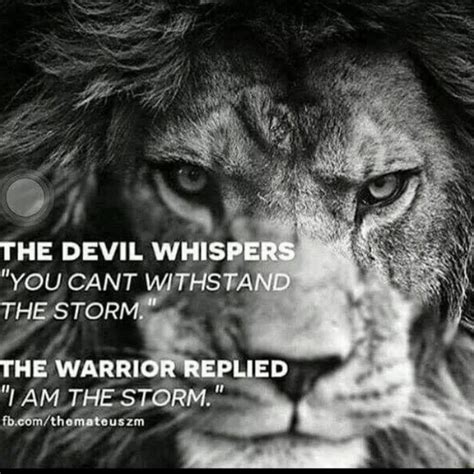 I Am The Storm Warrior Quotes Lion Quotes Motivation