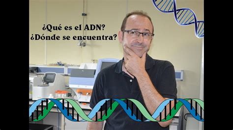 Que Es El Adn Y Donde Se Encuentra Saludpsicologiaes 2024