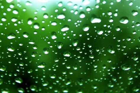 Green Water Drops Background Free Stock Photo Public Domain Pictures