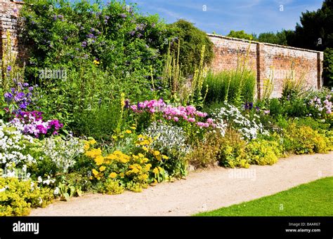 Colourful July Summer Country Garden Herbaceous Perennial Border At