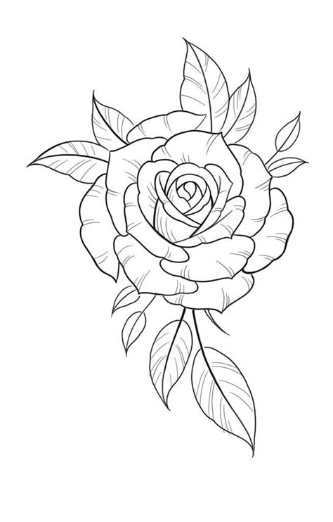 Attractive Small Rose Stencil Tattoo Picture Rose Outline Drawing