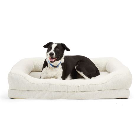 Everyyay Snooze Fest Orthopedic Cuddler Dog Bed 40 L X 30 W Petco