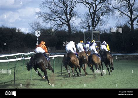 Horses Passing Three Furlong Marker In Flat Race At Warwick Races