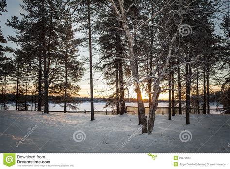 Frozen Lake In Inari Finland Stock Photo Image Of