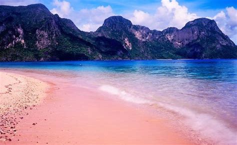 Swim In The Amazingly Pink Pink Beach Of Northern Samar Travel To