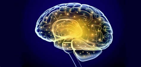 Patterns Of Brain Activity Direct Specific Body Movements