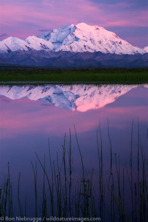 Denali Reflection Denali National Park Alaska Photos By Ron Niebrugge