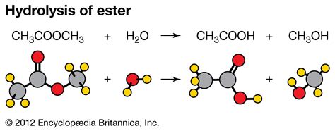 Chemical Reaction Polymerization Monomers Polymers Britannica
