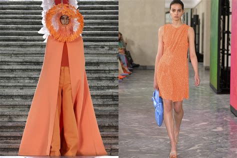 Color Of The Year Wgsn Apricot Crush Color Palet Vrogue Co