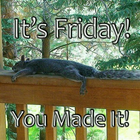 Happy Friday  Friday Meme Hello Friday Friday Weekend Its Friday