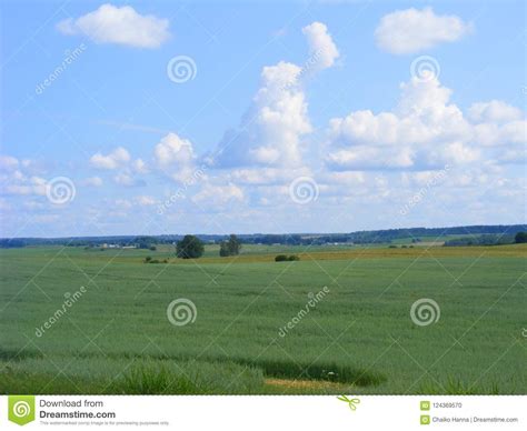 Green Landscape Summer Countryside Fields Scenic Landscape In Belarus