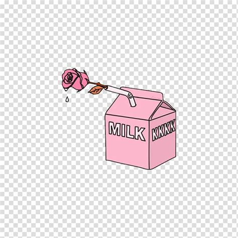 Free Download Pink Rose And Pink Milk Carton Illustration Aesthetics