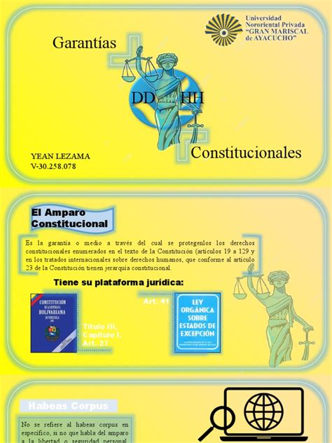 Garantias Constitucionales Pdf Derecho Constitucional Constitución