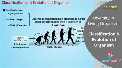 Diversity In Living Organisms Class 9 Science Chapter 7
