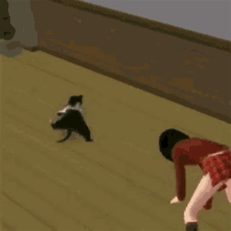 Cat Girl  Cat Girl Cat Breakdance ຄົ້ນພົບ ແລະ ແບ່ງປັນ 