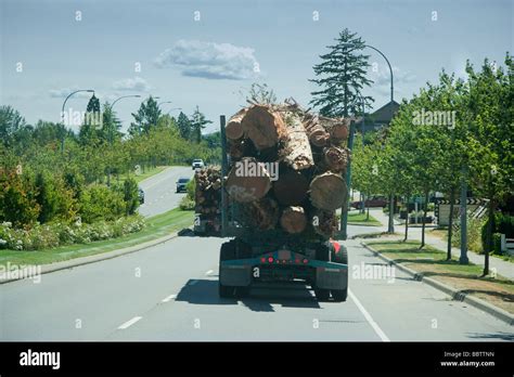 Trucks In Motion Carrying A Load Of Logs Vancouver Island British