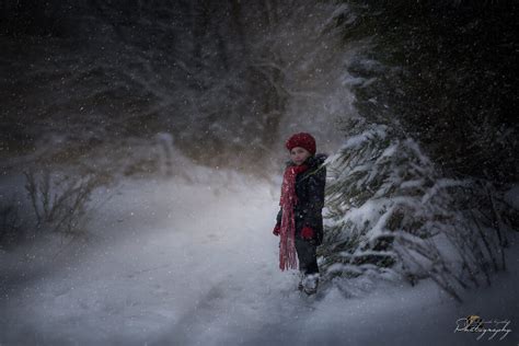 20 Wonderful Examples Of Winter Photography The Photo Argus