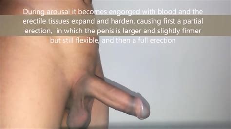 Complete Penis Erection Process Eporner