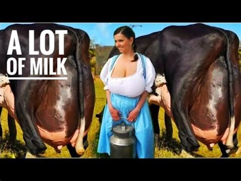 Highly Milking Biggest Udder Girlando Cow Breed Litters Milk Per Day World Record Gir Cow