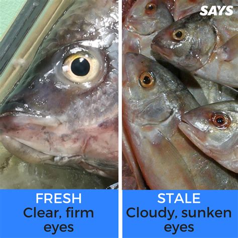 How To Know If The Fish Youre Picking Out Is Actually Fresh