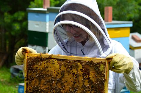 Honey Farms Worth Visiting This Summer Readers Digest Canada