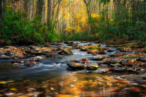 Fall In Great Smoky Mountains National Park North Carolina Oc