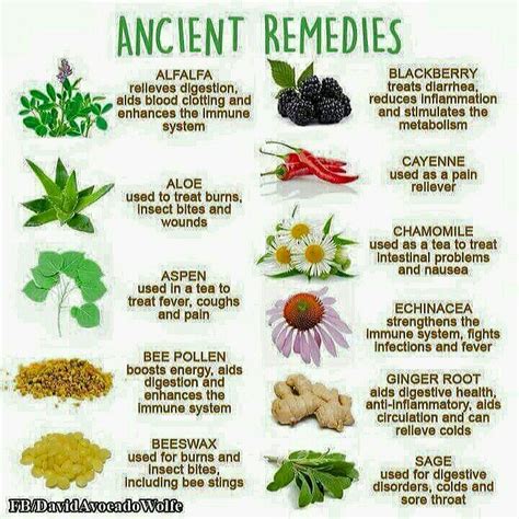 Ancient Remedies Herbalism Natural Health Remedies Remedies