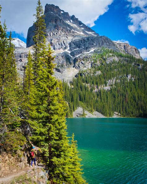 Lake Ohara In Yoho Camping And Hiking Guide 2021 The Banff Blog