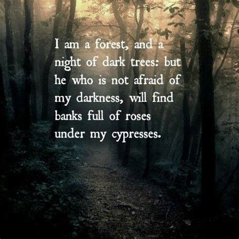 Forest Magic Into The Woods Quotes Forest Quotes Nature Quotes