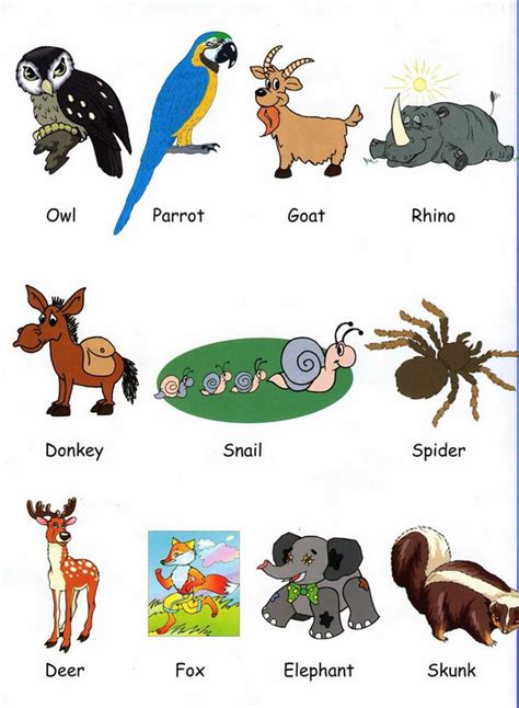 Los Animales En Ingles Y Su Pronunciacion Escrita Animales En Ingles
